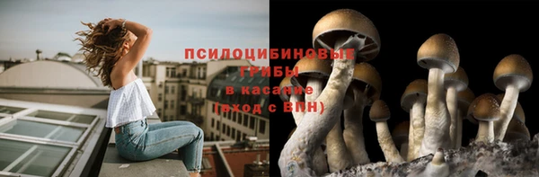 тгк Абаза