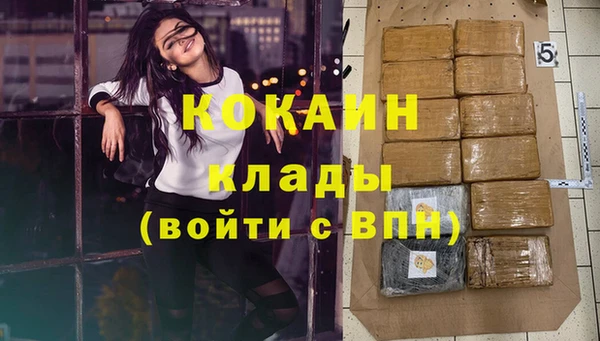 дживик Алзамай